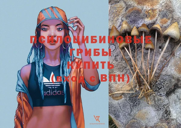 кокаин перу Бородино