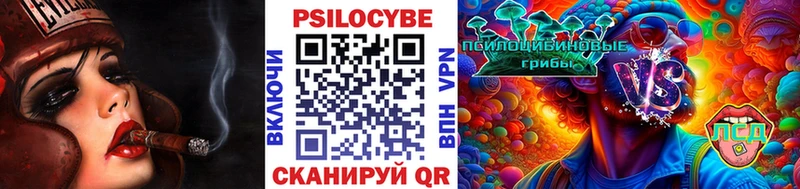 наркотики  Вятские Поляны  Галлюциногенные грибы MAGIC MUSHROOMS 